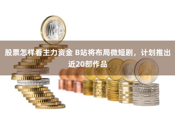 股票怎样看主力资金 B站将布局微短剧，计划推出近20部作品