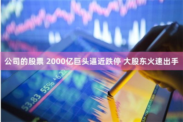 公司的股票 2000亿巨头逼近跌停 大股东火速出手