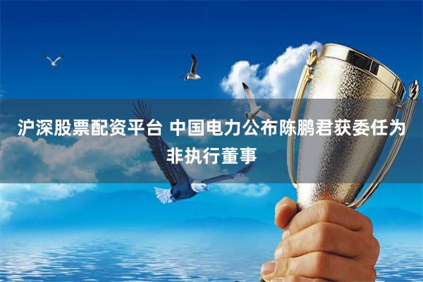 沪深股票配资平台 中国电力公布陈鹏君获委任为非执行董事