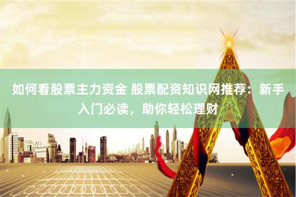 如何看股票主力资金 股票配资知识网推荐：新手入门必读，助你轻松理财